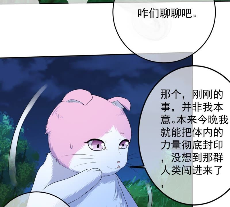 《世无良猫》漫画最新章节第70话 新的盟友免费下拉式在线观看章节第【47】张图片