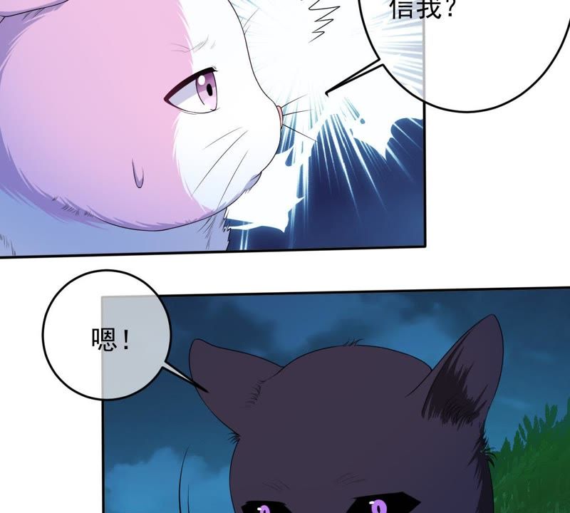 《世无良猫》漫画最新章节第70话 新的盟友免费下拉式在线观看章节第【50】张图片