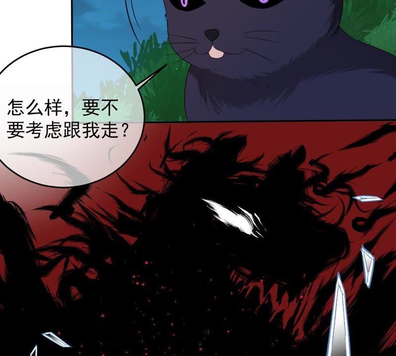 《世无良猫》漫画最新章节第70话 新的盟友免费下拉式在线观看章节第【51】张图片