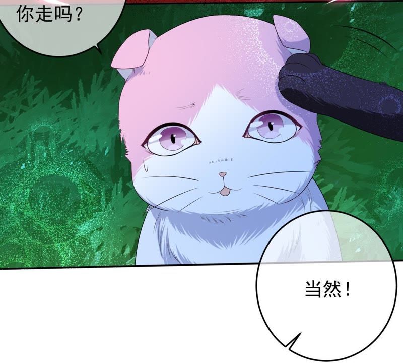 《世无良猫》漫画最新章节第70话 新的盟友免费下拉式在线观看章节第【54】张图片