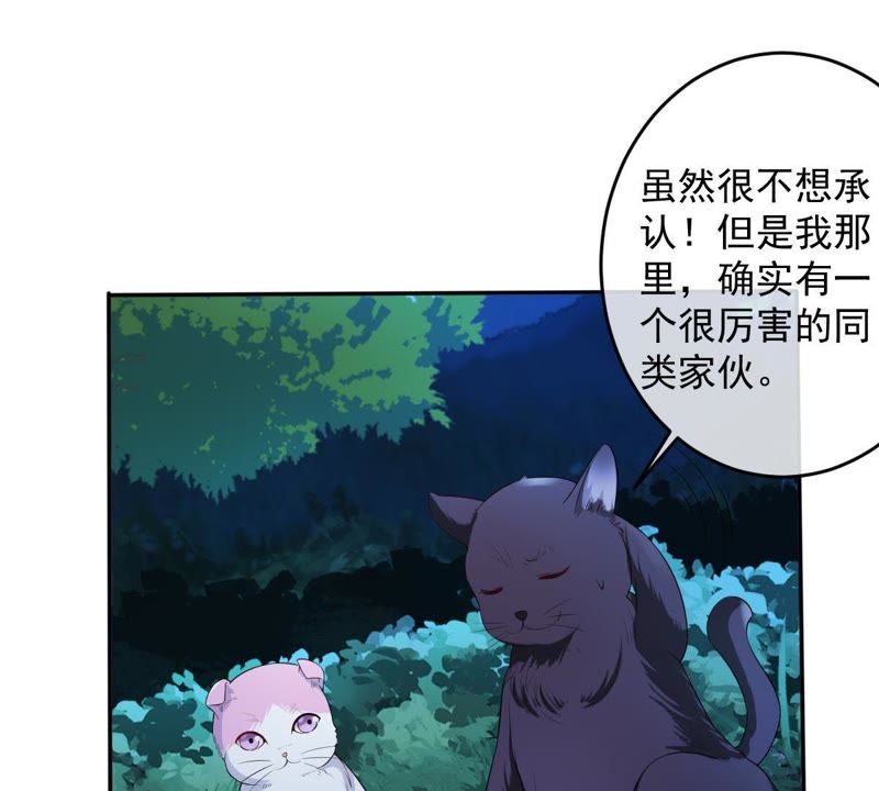 《世无良猫》漫画最新章节第70话 新的盟友免费下拉式在线观看章节第【56】张图片