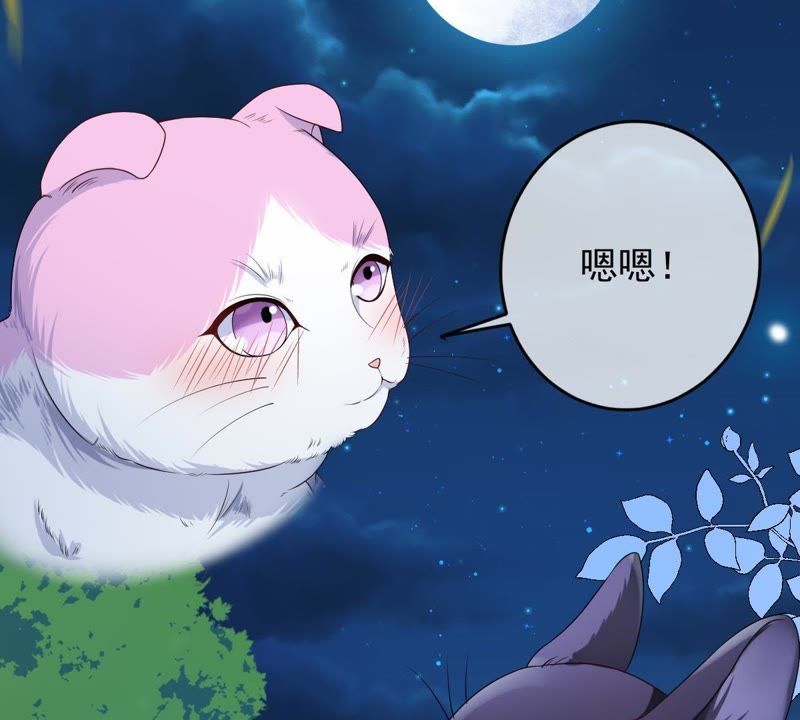 《世无良猫》漫画最新章节第70话 新的盟友免费下拉式在线观看章节第【58】张图片