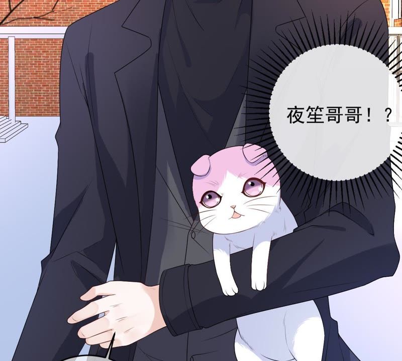 《世无良猫》漫画最新章节第72话 楚青不是楚青免费下拉式在线观看章节第【19】张图片