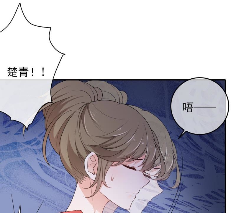 《世无良猫》漫画最新章节第72话 楚青不是楚青免费下拉式在线观看章节第【29】张图片