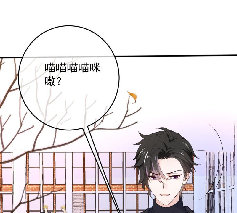 《世无良猫》漫画最新章节第72话 楚青不是楚青免费下拉式在线观看章节第【40】张图片