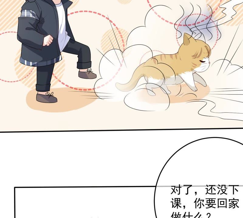 《世无良猫》漫画最新章节第73话 真正喜欢的人免费下拉式在线观看章节第【39】张图片