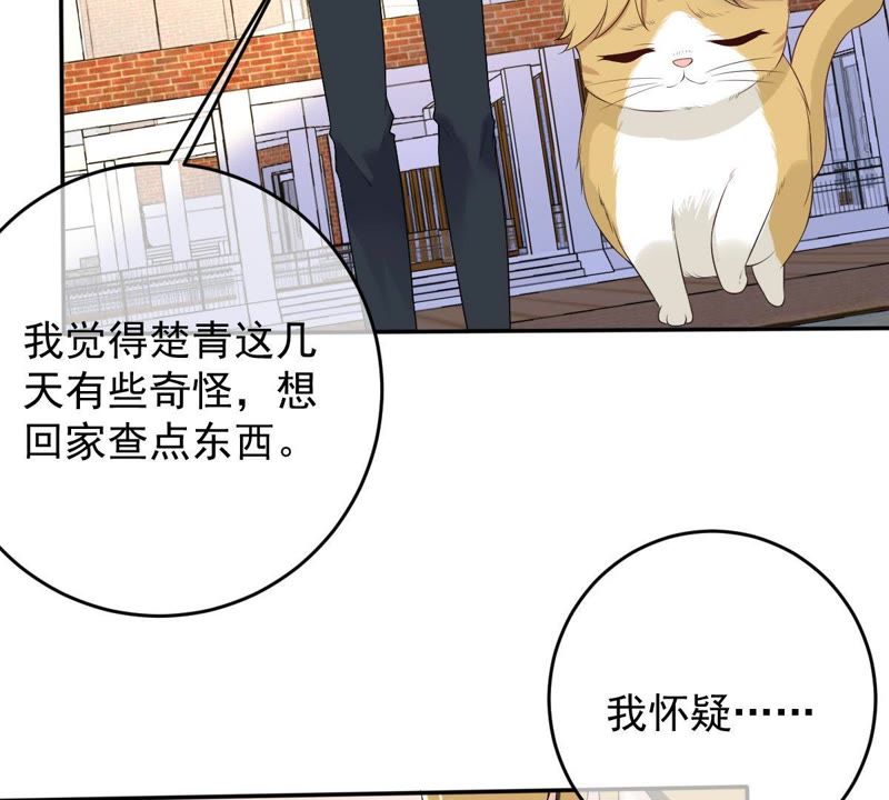 《世无良猫》漫画最新章节第73话 真正喜欢的人免费下拉式在线观看章节第【41】张图片