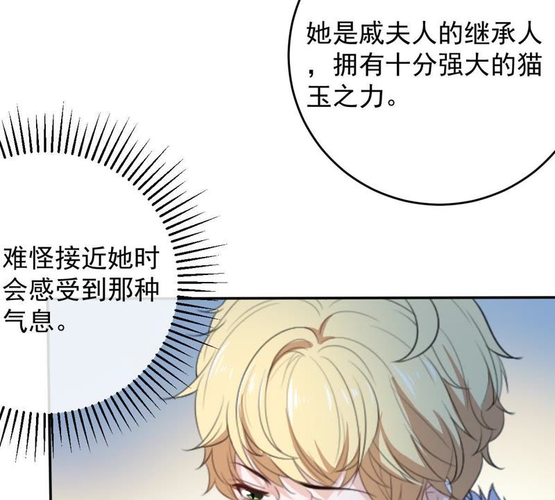 《世无良猫》漫画最新章节第76话 残酷的真相免费下拉式在线观看章节第【27】张图片