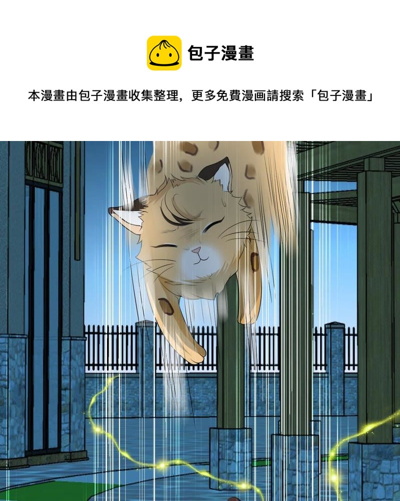 《世无良猫》漫画最新章节第77话 深夜密会免费下拉式在线观看章节第【15】张图片