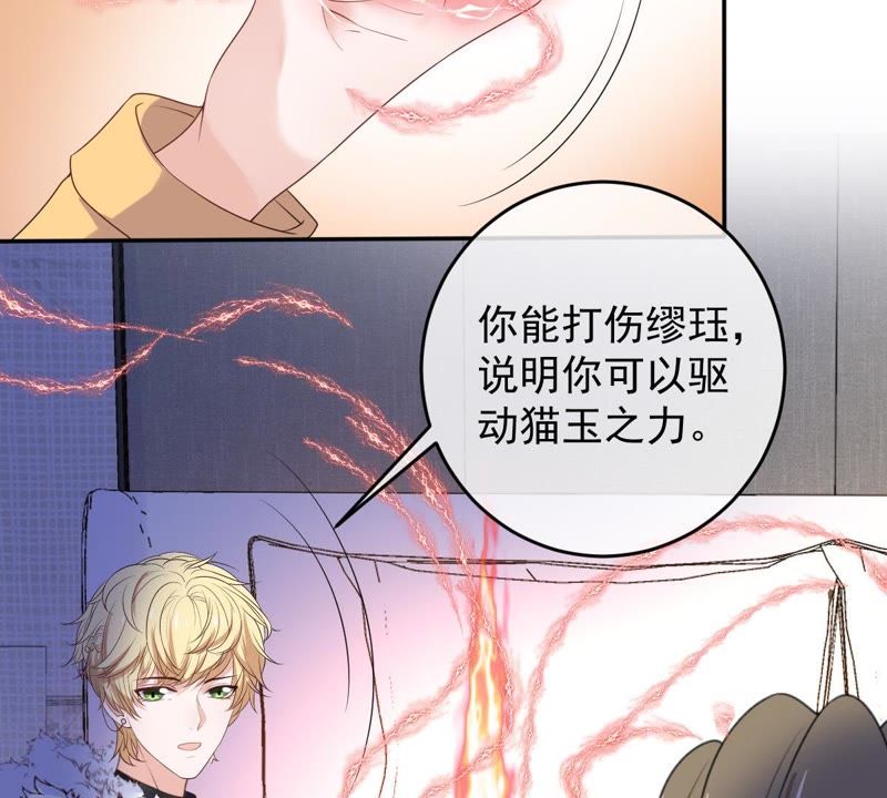 《世无良猫》漫画最新章节第77话 深夜密会免费下拉式在线观看章节第【48】张图片