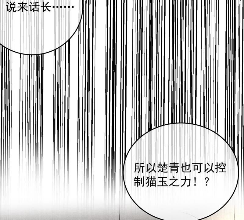 《世无良猫》漫画最新章节第78话 事业大危机免费下拉式在线观看章节第【14】张图片