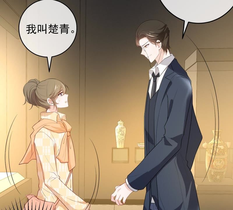 《世无良猫》漫画最新章节第81话 楚青的未来免费下拉式在线观看章节第【6】张图片