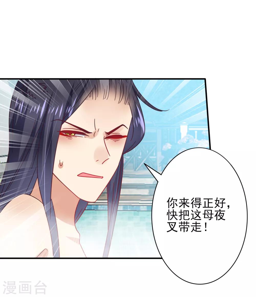 《兽宠女皇》漫画最新章节第25话 这个女人，我要定了！免费下拉式在线观看章节第【14】张图片