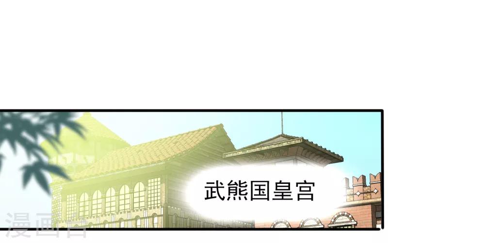 《兽宠女皇》漫画最新章节第43话 国师的恋爱计划免费下拉式在线观看章节第【27】张图片