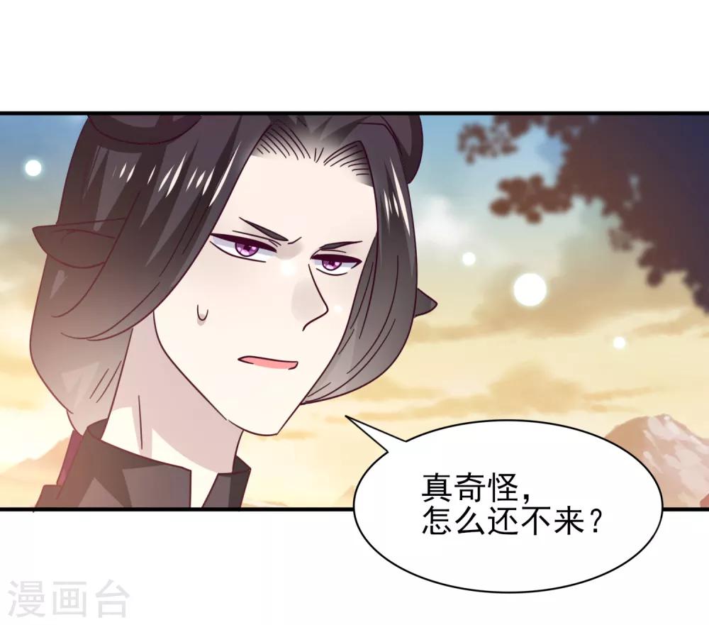 《兽宠女皇》漫画最新章节第44话 小狼狼和猫骑士之间的火药味免费下拉式在线观看章节第【11】张图片