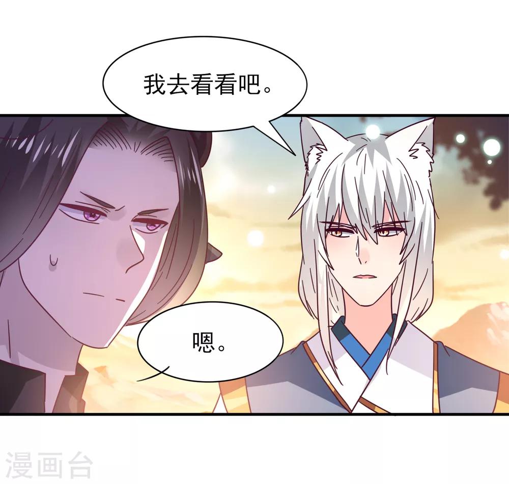 《兽宠女皇》漫画最新章节第44话 小狼狼和猫骑士之间的火药味免费下拉式在线观看章节第【12】张图片