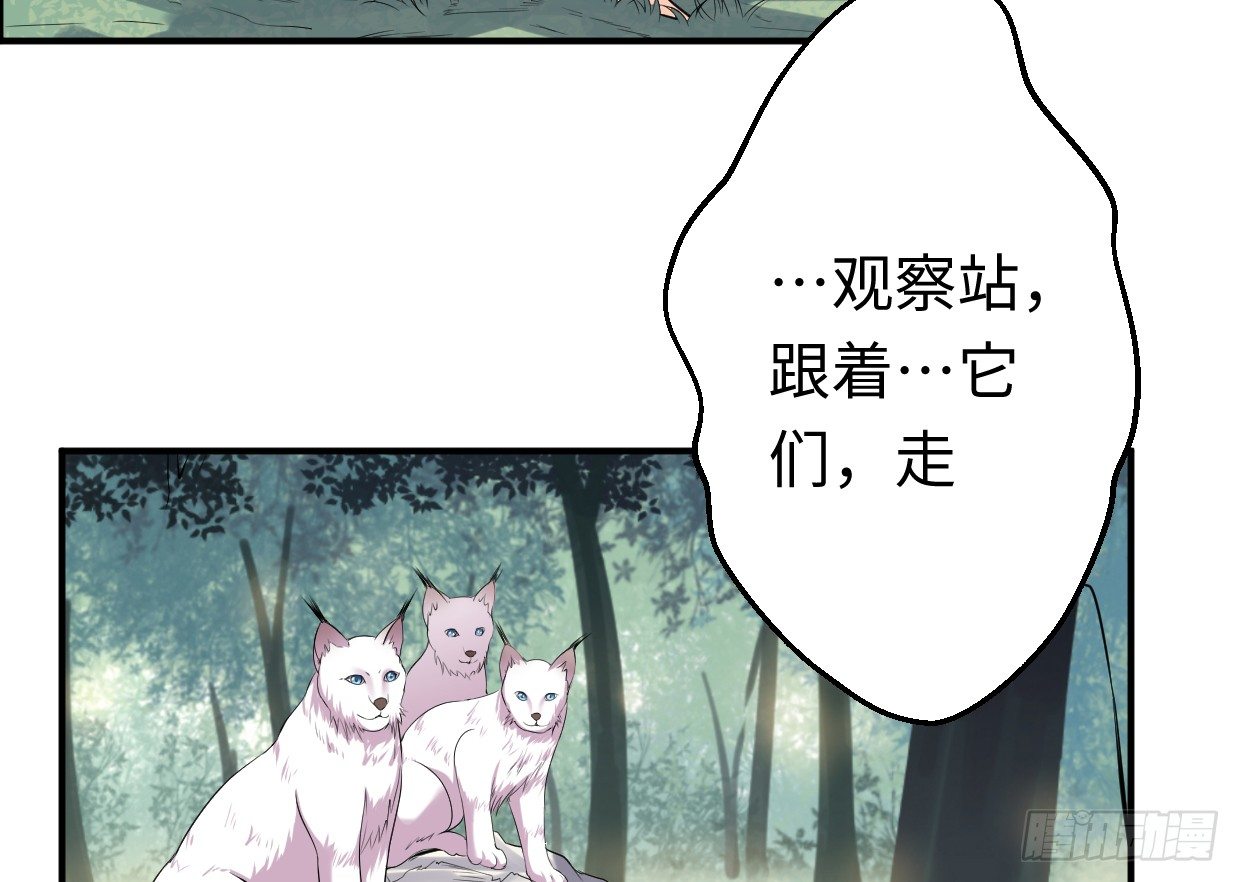 《兽心狂侠》漫画最新章节兄长之礼免费下拉式在线观看章节第【231】张图片