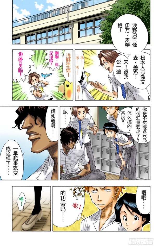 《死神/BLEACH（全彩版）》漫画最新章节劣质品免费下拉式在线观看章节第【13】张图片