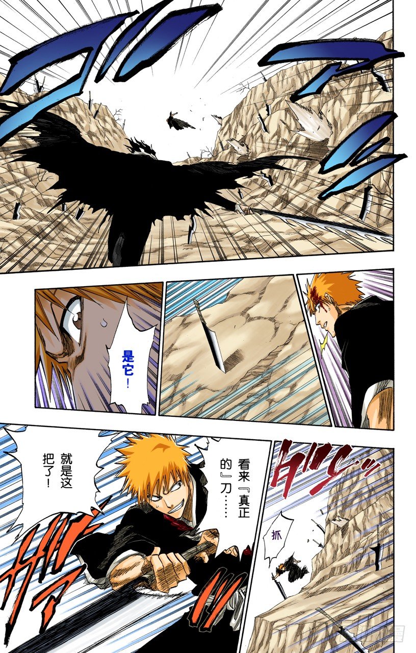 《死神/BLEACH（全彩版）》漫画最新章节伟大的战斗联盟免费下拉式在线观看章节第【11】张图片