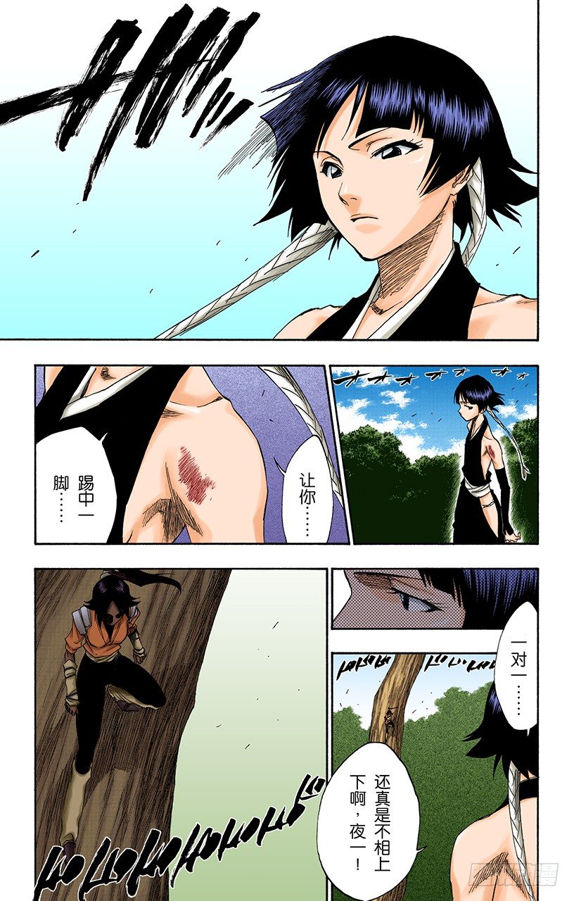 《死神/BLEACH（全彩版）》漫画最新章节猫与黄蜂免费下拉式在线观看章节第【13】张图片