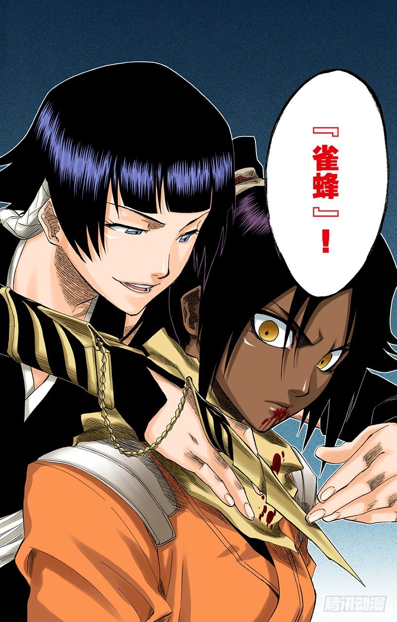 《死神/BLEACH（全彩版）》漫画最新章节猫与黄蜂免费下拉式在线观看章节第【16】张图片