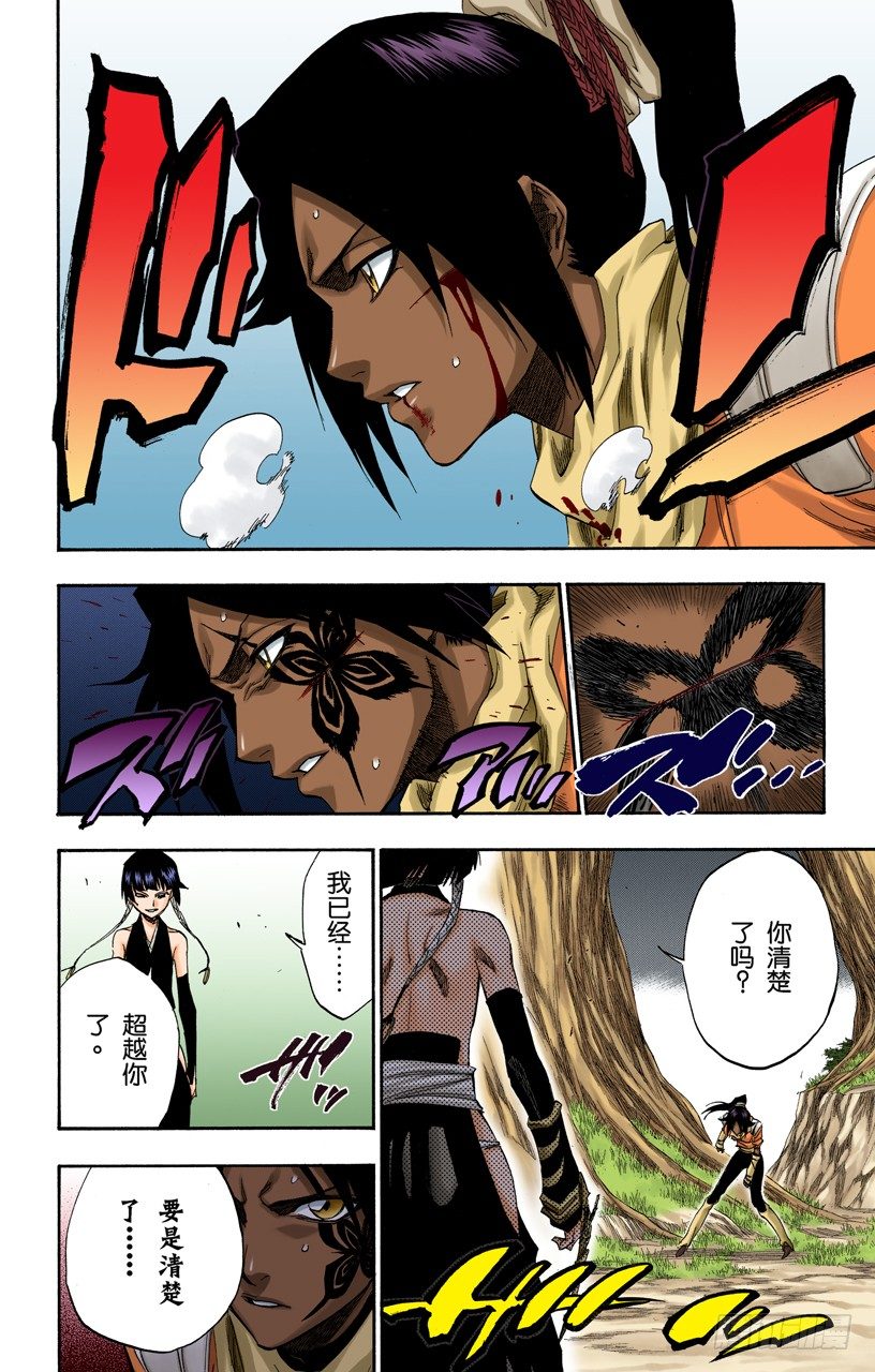 《死神/BLEACH（全彩版）》漫画最新章节空中的雌豹免费下拉式在线观看章节第【12】张图片