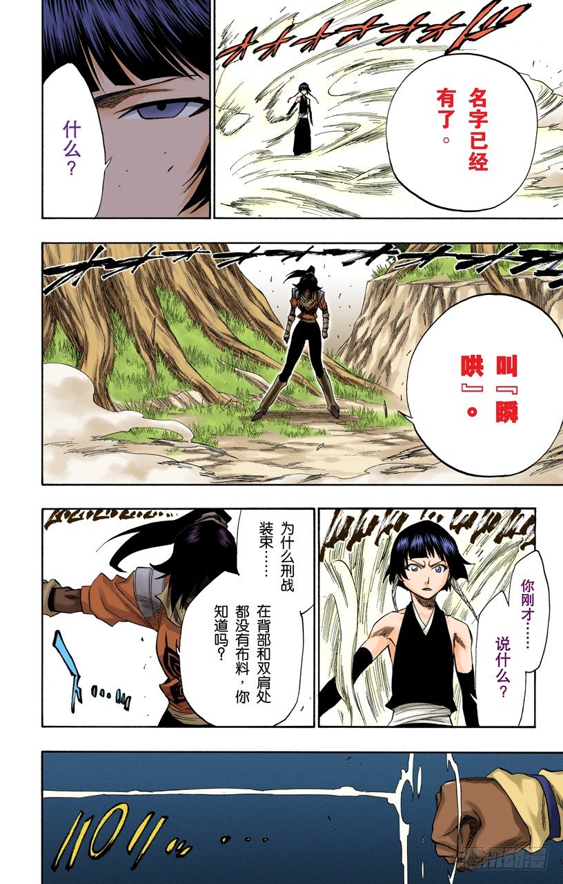 《死神/BLEACH（全彩版）》漫画最新章节空中的雌豹免费下拉式在线观看章节第【14】张图片