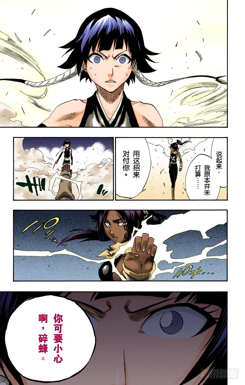 《死神/BLEACH（全彩版）》漫画最新章节空中的雌豹免费下拉式在线观看章节第【17】张图片