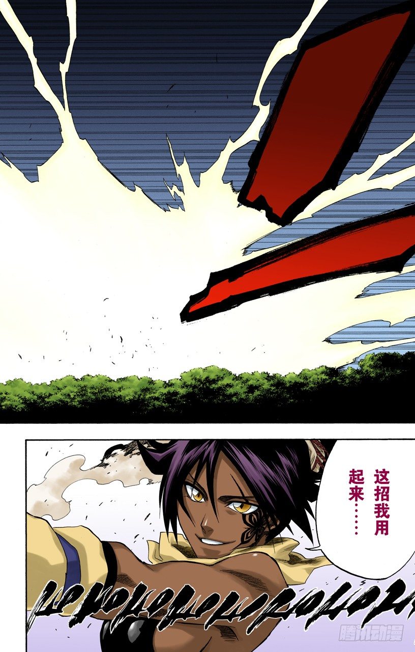 《死神/BLEACH（全彩版）》漫画最新章节空中的雌豹免费下拉式在线观看章节第【18】张图片