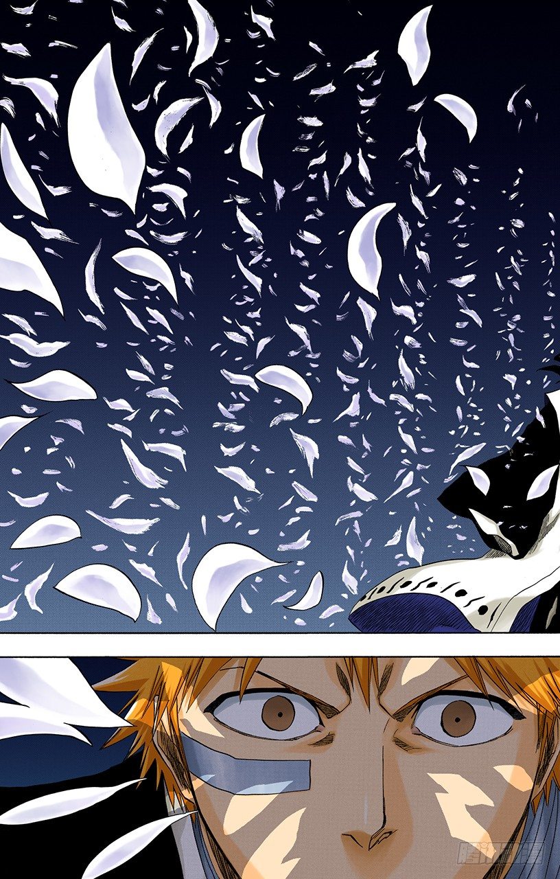 《死神/BLEACH（全彩版）》漫画最新章节撕裂的天空免费下拉式在线观看章节第【13】张图片