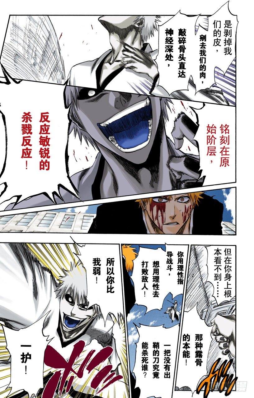 《死神/BLEACH（全彩版）》漫画最新章节王与坐骑免费下拉式在线观看章节第【13】张图片