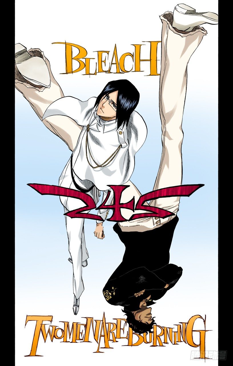 《死神/BLEACH（全彩版）》漫画最新章节燃烧的两个人免费下拉式在线观看章节第【6】张图片