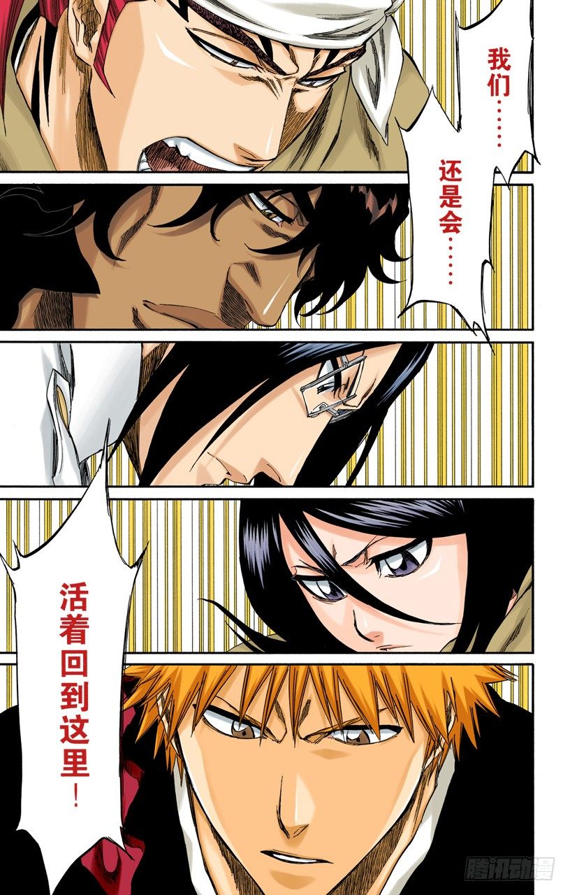 《死神/BLEACH（全彩版）》漫画最新章节活着回到这里免费下拉式在线观看章节第【17】张图片