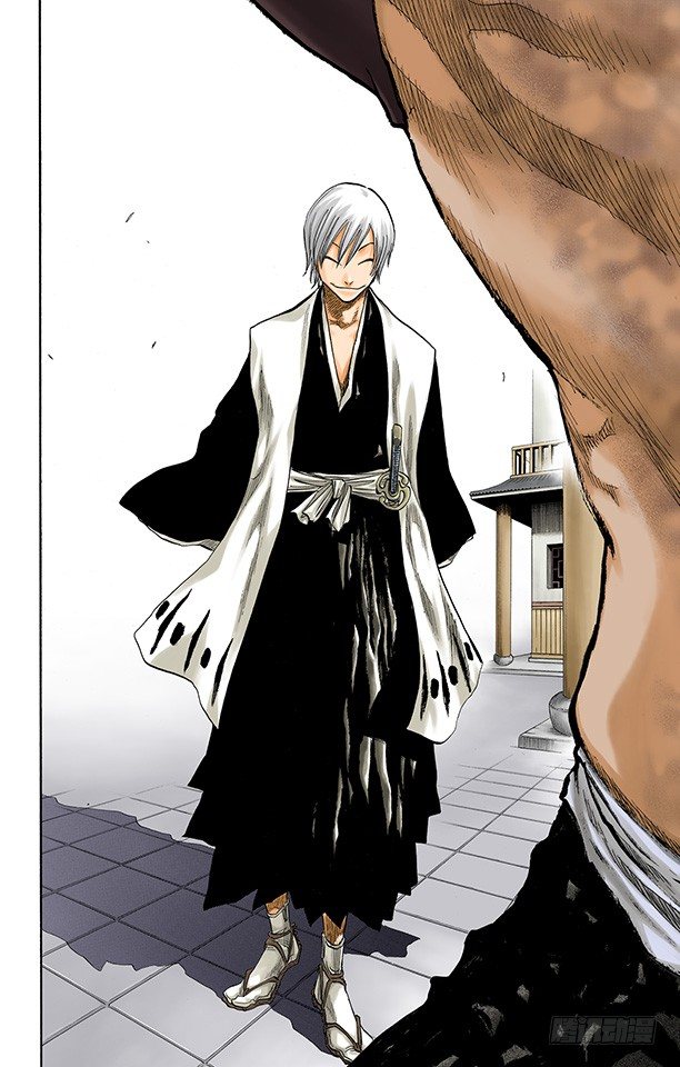 《死神/BLEACH（全彩版）》漫画最新章节断臂，断臂免费下拉式在线观看章节第【16】张图片