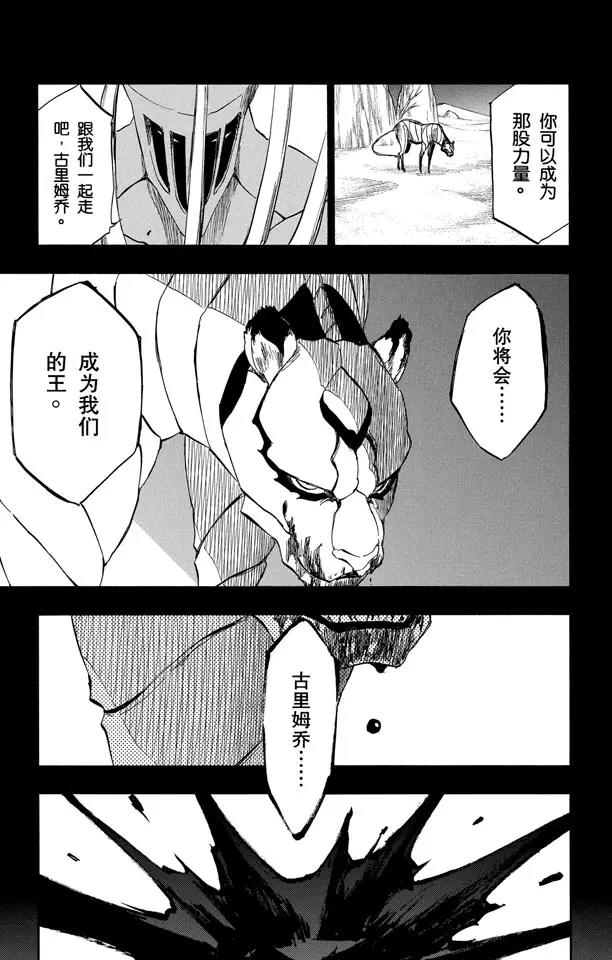 《死神/境·界》漫画最新章节第284话 豹王和它的阴影故事免费下拉式在线观看章节第【11】张图片