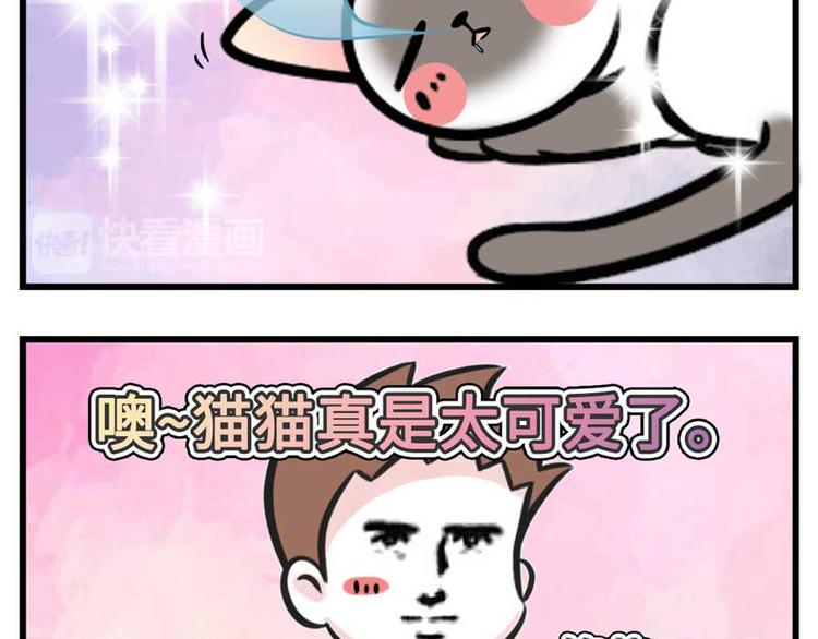 《素菜包》漫画最新章节我们猫奴就是这样的！免费下拉式在线观看章节第【11】张图片