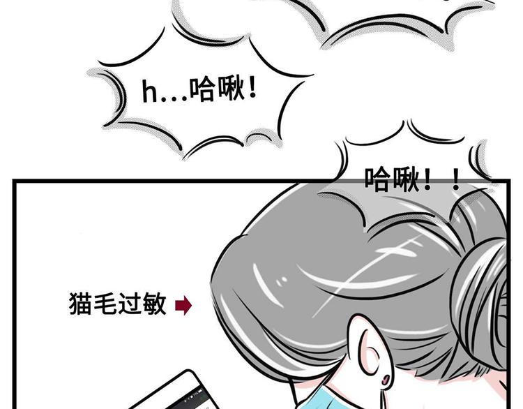 《素菜包》漫画最新章节我们猫奴就是这样的！免费下拉式在线观看章节第【17】张图片