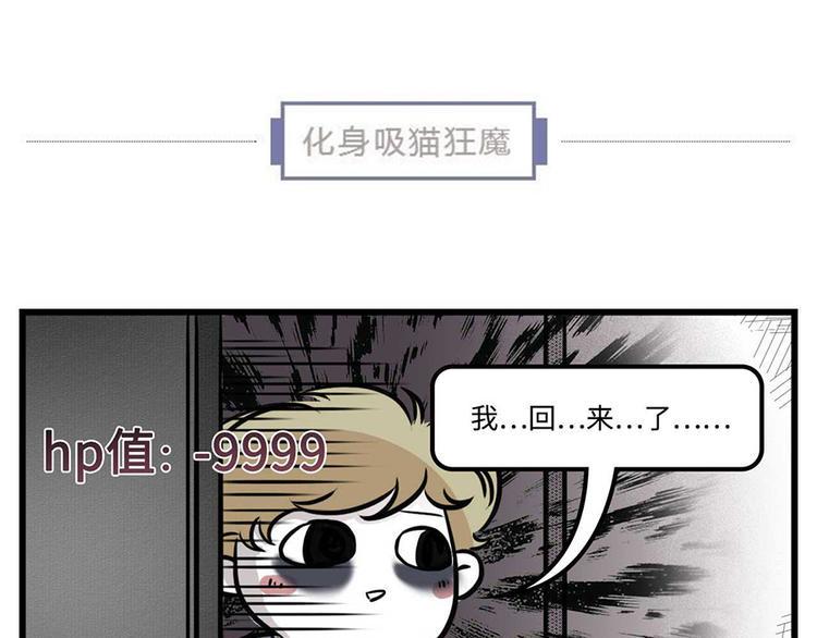 《素菜包》漫画最新章节我们猫奴就是这样的！免费下拉式在线观看章节第【20】张图片