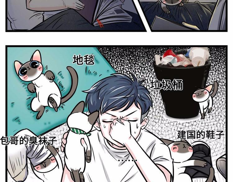 《素菜包》漫画最新章节我们猫奴就是这样的！免费下拉式在线观看章节第【28】张图片