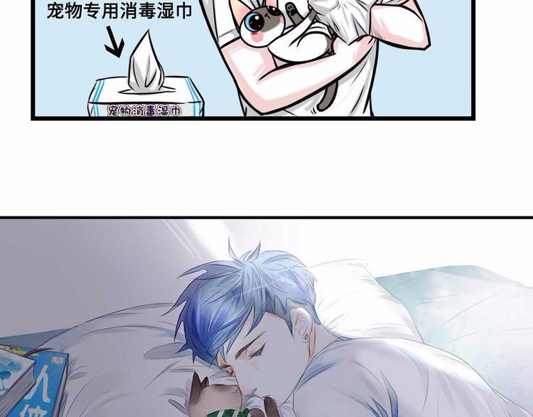 《素菜包》漫画最新章节我们猫奴就是这样的！免费下拉式在线观看章节第【30】张图片