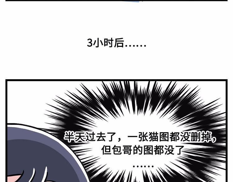 《素菜包》漫画最新章节我们猫奴就是这样的！免费下拉式在线观看章节第【5】张图片