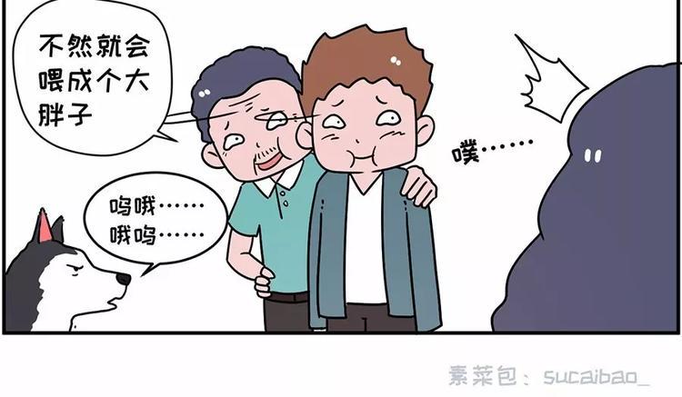 《素菜包》漫画最新章节自己养的宝贝，哭着也要宠完免费下拉式在线观看章节第【15】张图片