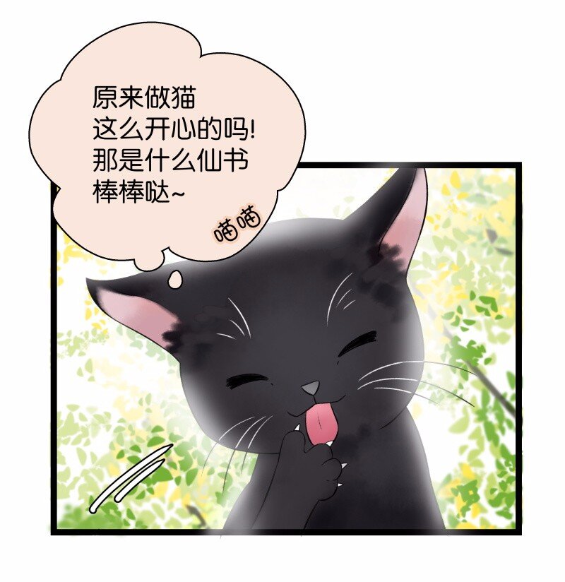 《太子得了失心疯》漫画最新章节033 喵国师免费下拉式在线观看章节第【4】张图片