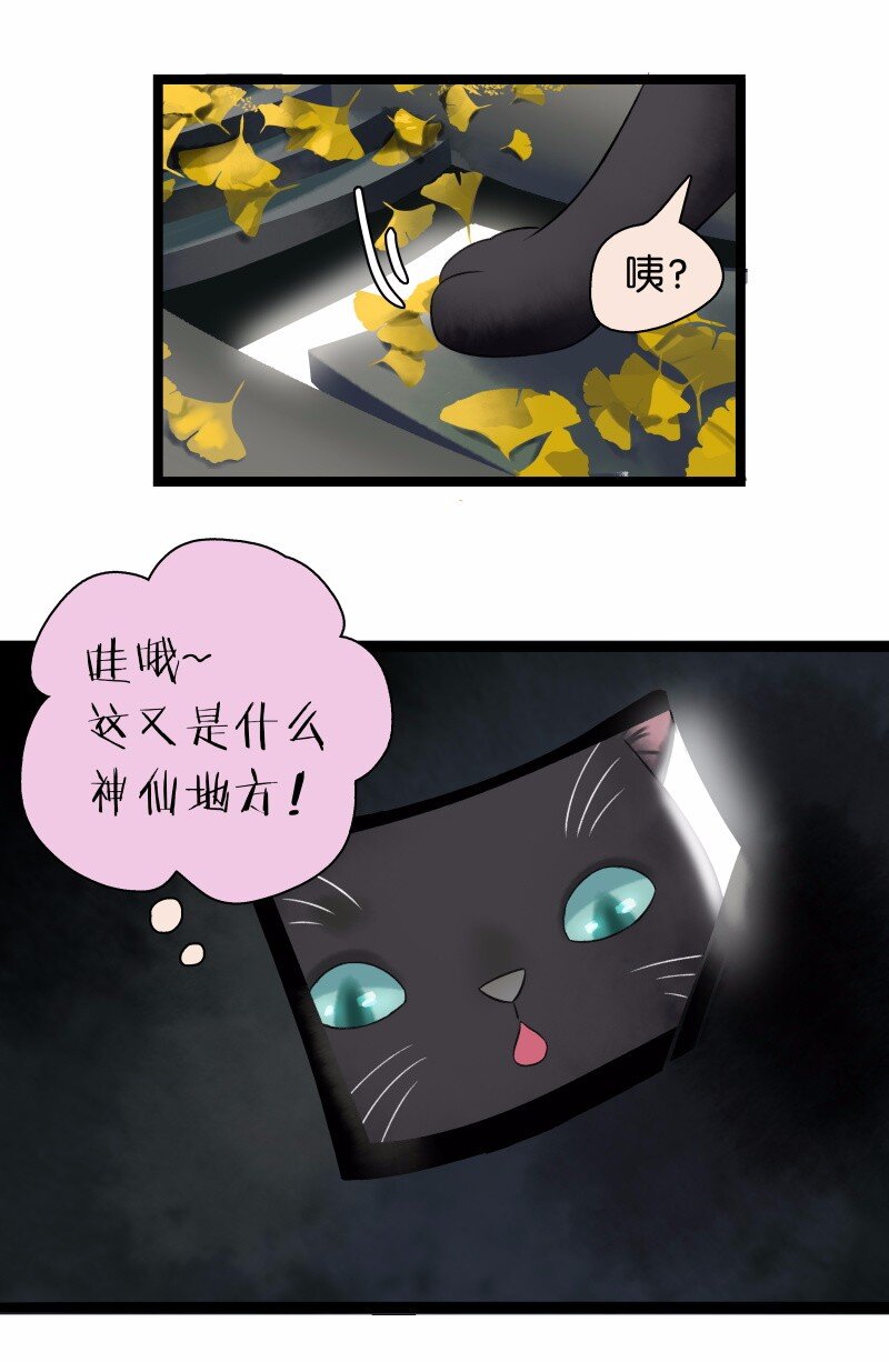 《太子得了失心疯》漫画最新章节033 喵国师免费下拉式在线观看章节第【5】张图片