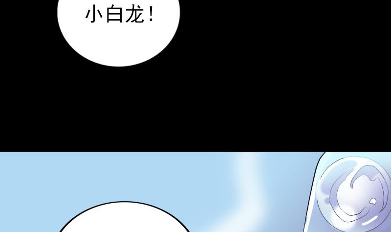 【天降横祸】漫画-（第158话 宝珠与白龙）章节漫画下拉式图片-53.jpg
