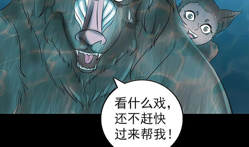 《天降横祸》漫画最新章节第207话 龙珠雷达免费下拉式在线观看章节第【97】张图片