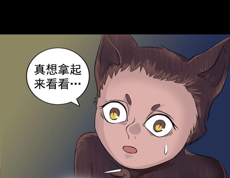 《天降横祸》漫画最新章节第211话 摆渡人免费下拉式在线观看章节第【26】张图片