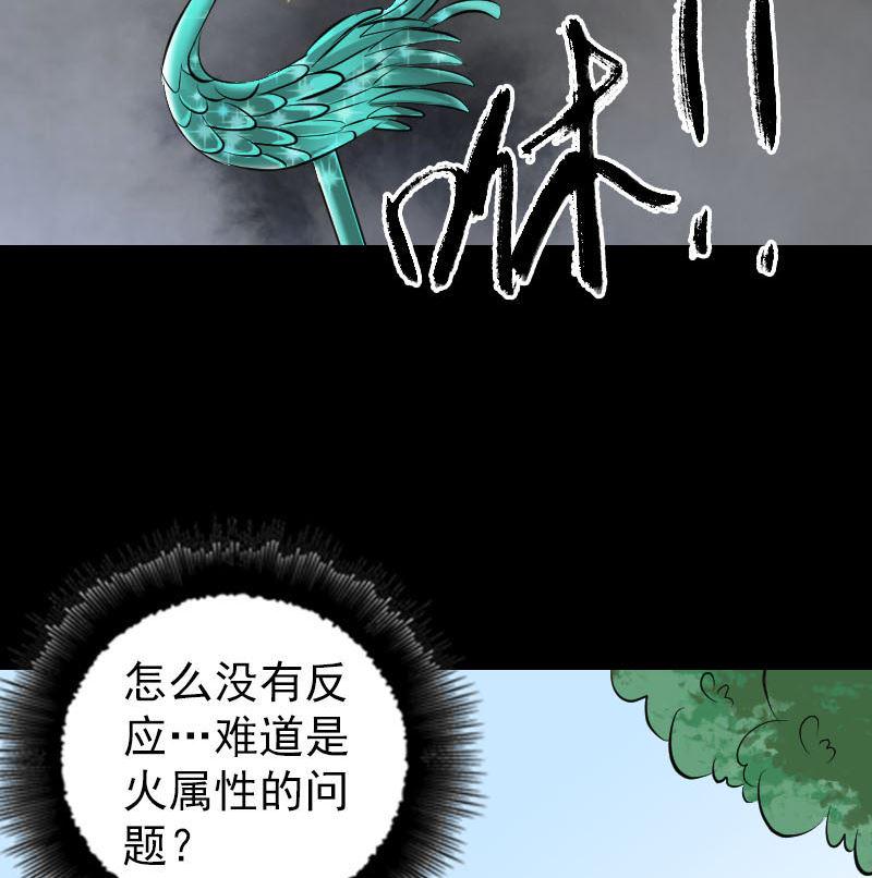 《天降横祸》漫画最新章节第308话 浴火重生免费下拉式在线观看章节第【47】张图片