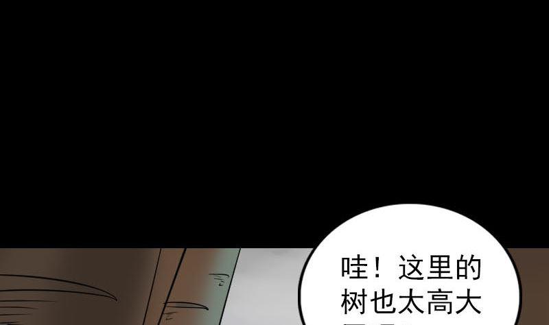 【天降横祸】漫画-（第339话 奇遇）章节漫画下拉式图片-34.jpg