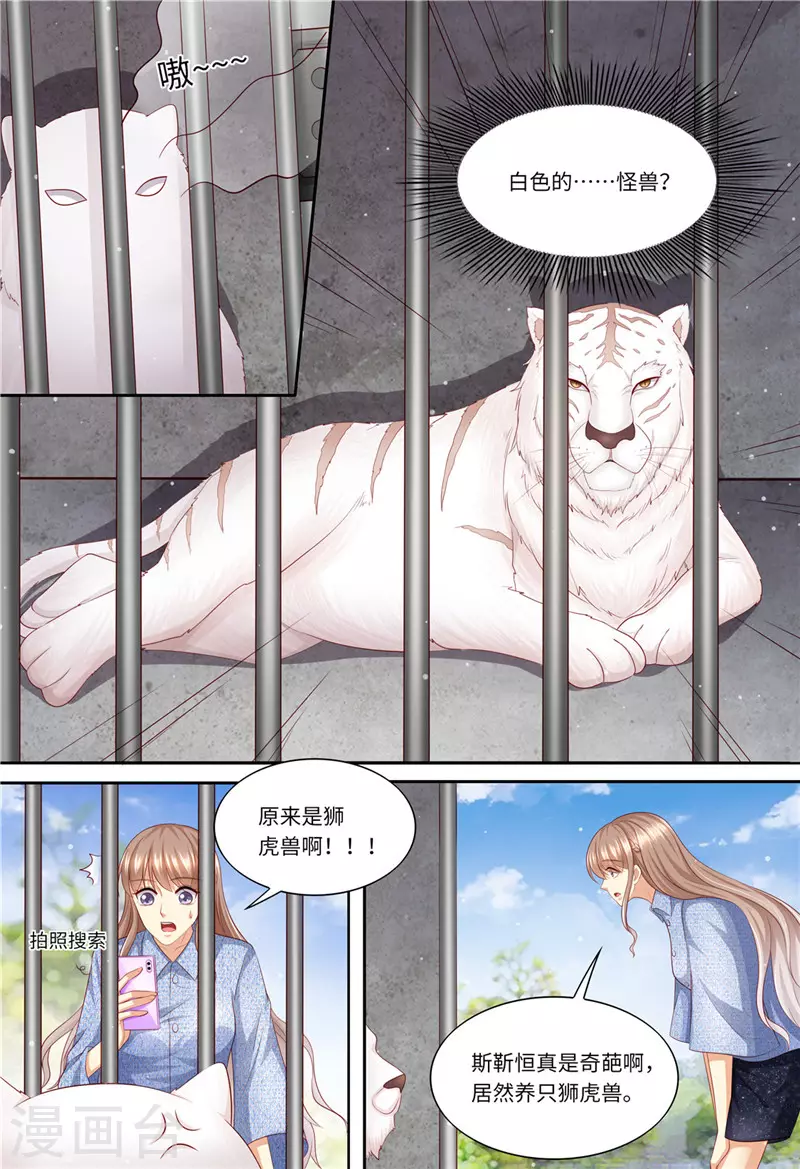 《天价豪门:夫人又跑了》漫画最新章节第196话 狮虎兽免费下拉式在线观看章节第【9】张图片